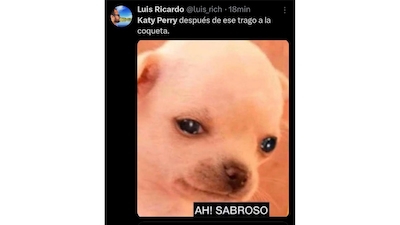 Memes de Katy Perry. (Foto: Captura Redes sociales)